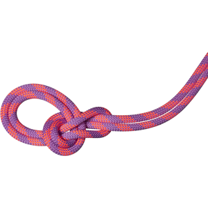 Mammut Multifunktionales Kletterseil 9.5 Crag Dry Rope Duodess 60m Lila 60 m Mammut Multifunktionales Kletterseil 9.5 Crag Dry Rope Duodess 60m Lila 60 m