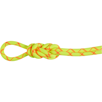 Mammut Imprägniertes, dynamisches Einfachseil mit hoher Schnittfestigkeit 9.5 Alpine Core Protect Dry Rope 30m Gelb 30 m Mammut Imprägniertes, dynamisches Einfachseil mit hoher Schnittfestigkeit 9.5 Alpine Core Protect Dry Rope 30m Gelb 30 m