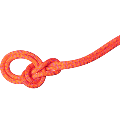 Mammut Robustes, multifunktionales Kletterseil 9.8 Crag Dry Rope 50m Orange 50 m Mammut Robustes, multifunktionales Kletterseil 9.8 Crag Dry Rope 50m Orange 50 m