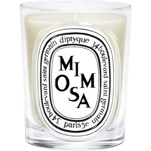 diptyque Mimosa Classic Candle 190 g diptyque Mimosa Classic Candle 190 g