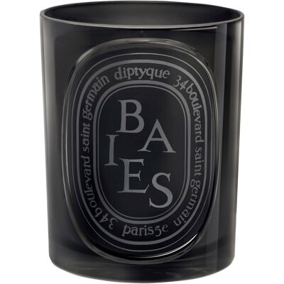 300g diptyque Black Candle Baies 300g diptyque Black Candle Baies