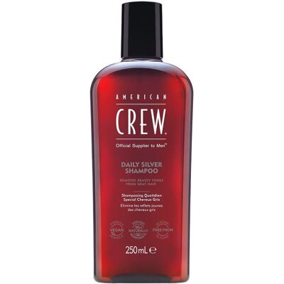 American Crew Modell Silber Grau Shampoo - Haarpflege American Crew Modell Silber Grau Shampoo - Haarpflege