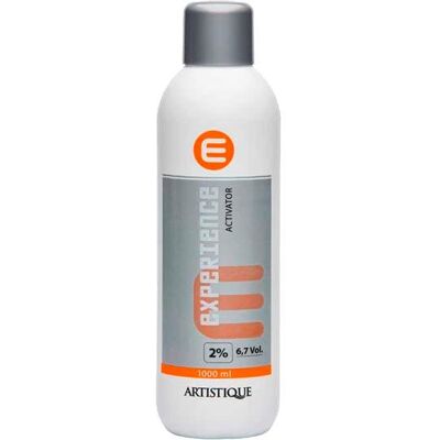 Artistique Experience Activator 2 % - 7 Vol. 1 Liter Artistique Experience Activator 2 % - 7 Vol. 1 Liter