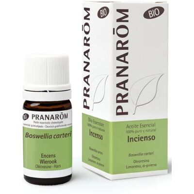 Pranarom Ätherisches Bio-Weihrauchöl 5 ml 5 ml Pranarom Ätherisches Bio-Weihrauchöl 5 ml 5 ml