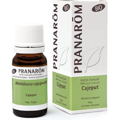 Pranarom Cajeput ätherisches Öl 10 ml 10 ml Pranarom Cajeput ätherisches Öl 10 ml 10 ml