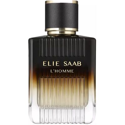 Elie Saab L'Homme Intense EDP Vapor 100 ml Elie Saab L'Homme Intense EDP Vapor 100 ml