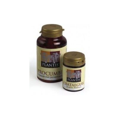 Plantis Ginkgo Biloba 60 Kapseln - Unterstützt Gehirndurchblutung Plantis Ginkgo Biloba 60 Kapseln - Unterstützt Gehirndurchblutung