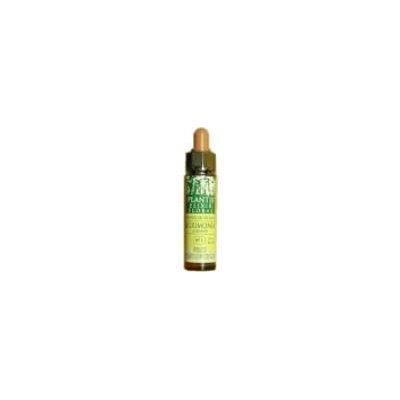 Plantis No. 9 Eco Blütelixir - Homöopathisches Mittel Plantis No. 9 Eco Blütelixir - Homöopathisches Mittel