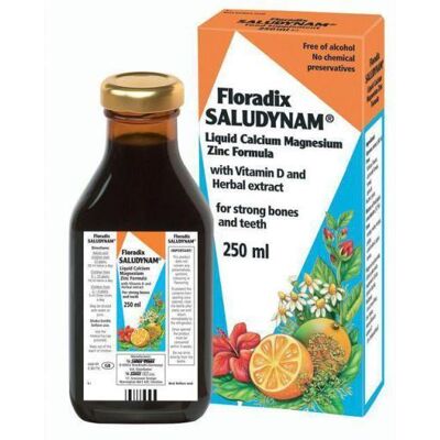 Salus Pharma Floradix Saludynam Flüssigkeit (250 ml) Salus Pharma Floradix Saludynam Flüssigkeit (250 ml)