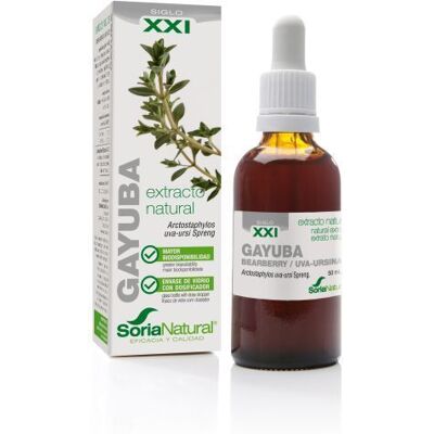 Soria Natural Gayuba-Extrakt Soria Natural Gayuba-Extrakt
