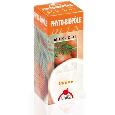 Intersa Mix Spalte 2 Intersa Mix Spalte 2