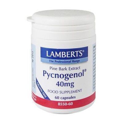 Lamberts Pycnogenol 40 mg Seekiefernrindenextrakt 60 Kapseln Lamberts Pycnogenol 40 mg Seekiefernrindenextrakt 60 Kapseln