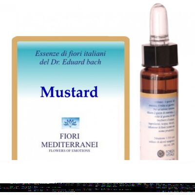 Forza Vitale Fm 21 Senf 10 ml Forza Vitale Fm 21 Senf 10 ml