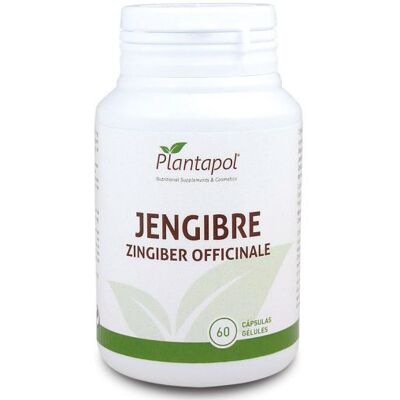 PlantaPol Ingwer 60 Kapseln 500 mg PlantaPol Ingwer 60 Kapseln 500 mg