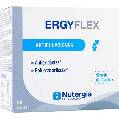 Nutergia Ergyflex 30 x 6 gr Nutergia Ergyflex 30 x 6 gr