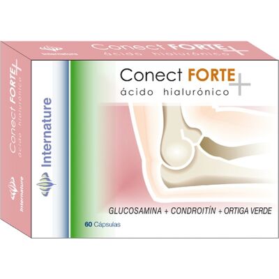 Internature Conect Forte Kapseln 60 Units Internature Conect Forte Kapseln 60 Units