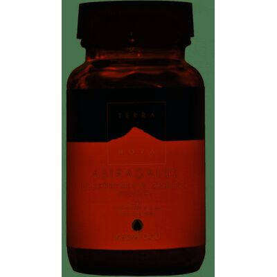 Terra Nova Astragalus Holunder & Knoblauch Komplex - Gesundheitspräparat Terra Nova Astragalus Holunder & Knoblauch Komplex - Gesundheitspräparat