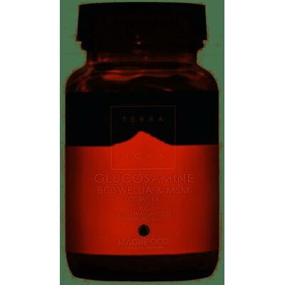 Terra Nova Glucosamin, Boswellia & MSM Komplex - Gelenkunterstützung Terra Nova Glucosamin, Boswellia & MSM Komplex - Gelenkunterstützung