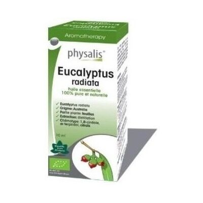 Physalis Eucalyptus Radiata Essence 10 ml Physalis Eucalyptus Radiata Essence 10 ml