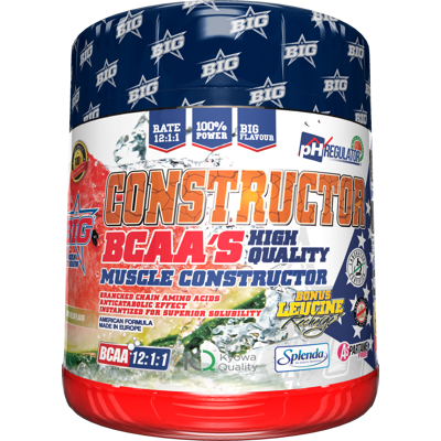 BIG Bcaas Builder 12:1:1 400gr Wassermelone BIG Bcaas Builder 12:1:1 400gr Wassermelone
