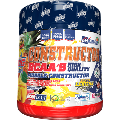 BIG Bcaas Builder 12:1:1 400gr Mango - Ananas BIG Bcaas Builder 12:1:1 400gr Mango - Ananas