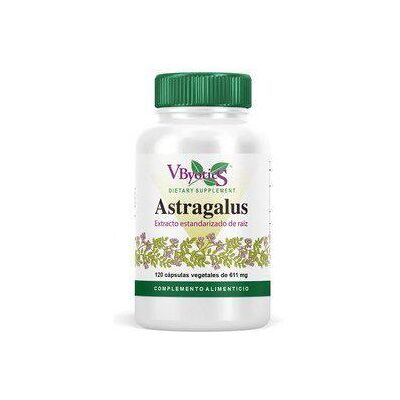 Vbyotics Astragalus Root Std 120 Gemüsekapseln Vbyotics Astragalus Root Std 120 Gemüsekapseln