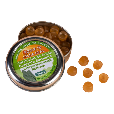 Forté Pharma Gummibonbons mit Eukalyptus 45 Einheiten Forté Pharma Gummibonbons mit Eukalyptus 45 Einheiten