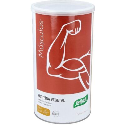 Santiveri Bio Vanille Pflanzliches Proteinpulver - Pflanzliches Proteinpulver Santiveri Bio Vanille Pflanzliches Proteinpulver - Pflanzliches Proteinpulver