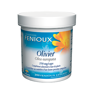 Fenioux Oliven 210mg - Nahrungsergänzung Fenioux Oliven 210mg - Nahrungsergänzung