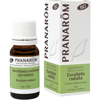 Pranarom Ätherisches Bio-Eukalyptus-Radiata-Öl 10 ml Pranarom Ätherisches Bio-Eukalyptus-Radiata-Öl 10 ml