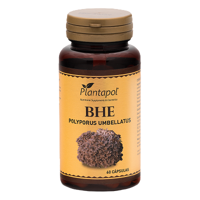 PlantaPol Bhe Polyporus 60 Kapseln PlantaPol Bhe Polyporus 60 Kapseln