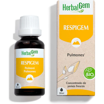 Herbalgem Atemunterstützung Bio-Pflanzenextrakte - Konzentrat Herbalgem Atemunterstützung Bio-Pflanzenextrakte - Konzentrat