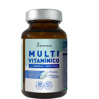 Plameca Multivitamin 60 Zweischichttabletten Plameca Multivitamin 60 Zweischichttabletten