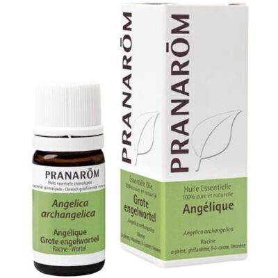 Pranarom Ätherisches Angelikaöl 5 ml 5 ml Pranarom Ätherisches Angelikaöl 5 ml 5 ml