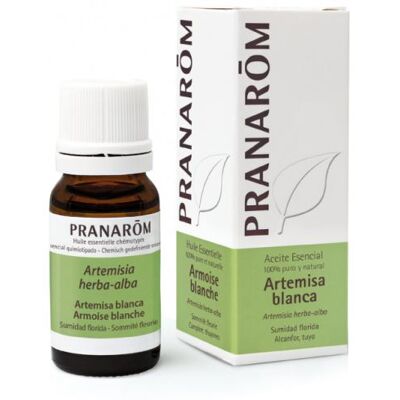 Pranarom Ätherisches Öl Weißer Beifuß 10 ml Pranarom Ätherisches Öl Weißer Beifuß 10 ml