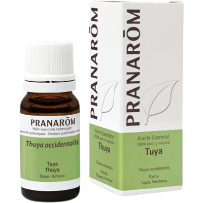 Pranarom Ätherisches Thujaöl 10 ml 10 ml Pranarom Ätherisches Thujaöl 10 ml 10 ml