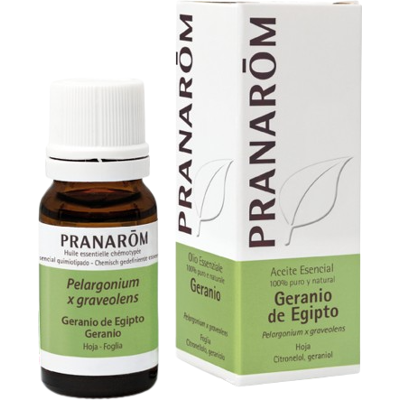 Pranarom Ätherisches Geranienöl aus Ägypten 10 ml Pranarom Ätherisches Geranienöl aus Ägypten 10 ml