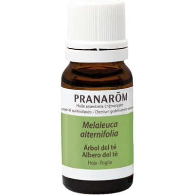 Pranarom Ätherisches Teebaumöl 10 ml Pranarom Ätherisches Teebaumöl 10 ml