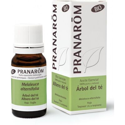 Pranarom Ätherisches Bio-Teebaumöl 10 ml Pranarom Ätherisches Bio-Teebaumöl 10 ml