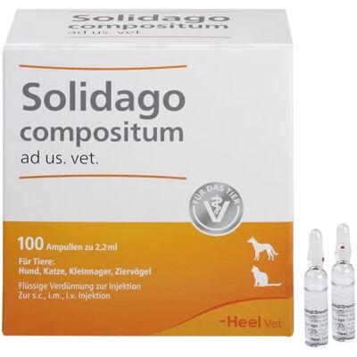 Biologische Heilmittel Heel GmbH Solidago Compositum ad us.vet. - 100 Ampullen Biologische Heilmittel Heel GmbH Solidago Compositum ad us.vet. - 100 Ampullen