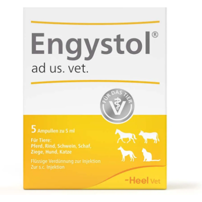 Heel Engystol ad us. vet. Ampoules (5 pcs) Heel Engystol ad us. vet. Ampoules (5 pcs)