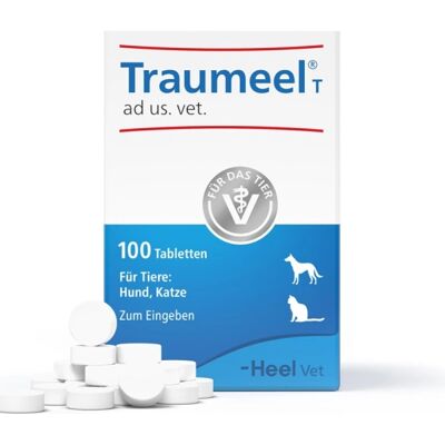 Biologische Heilmittel Traumeel T Tabletten - Homöopathische Medizin Biologische Heilmittel Traumeel T Tabletten - Homöopathische Medizin