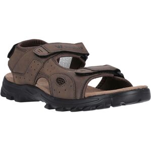 Sandale WHISTLER "Hornsin M Sandal", Herren, Gr. 46, braun (various braun), Mesh, Synthetik, Schuhe Sandale Sandale WHISTLER "Hornsin M Sandal", Herren, Gr. 46, braun (various braun), Mesh, Synthetik, Schuhe Sandale