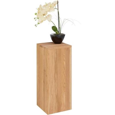 Linea Natura Blumenständer , Eichefarben , Holz , Eiche , massiv , 25x60x25 cm , Wohnzimmer, Wohnzimmertische, Blumentische Linea Natura Blumenständer , Eichefarben , Holz , Eiche , massiv , 25x60x25 cm , Wohnzimmer, Wohnzimmertische, Blumentische