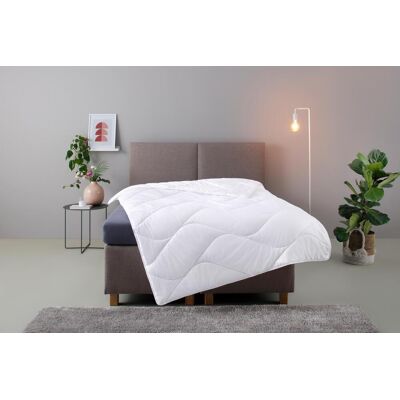 Microfaserbettdecke GOODPRODUCT "Fantasy", weiss (weiß), B:135cm L:200cm, Bettdecken Bezug: 100% Polyester. Bettdecken Füllung: 100% Polyester, Bettdecken, Microfaserbettdecke, Bettdecken, in 3 Bezugsqualitäten für Sommer, Winter Microfaserbettdecke GOODPRODUCT "Fantasy", weiss (weiß), B:135cm L:200cm, Bettdecken Bezug: 100% Polyester. Bettdecken Füllung: 100% Polyester, Bettdecken, Microfaserbettdecke, Bettdecken, in 3 Bezugsqualitäten für Sommer, Winter