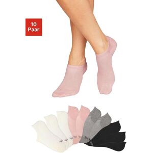 Sneakersocken BENCH., Herren, Gr. 39-42, bunt (3x ecru, 2x grau, 2x rosa, 3x schwarz), Baumwolle, Elasthan, Polyamid, unifarben, elastisch, Socken Sneakersocken, mit Pikeestruktur Sneakersocken BENCH., Herren, Gr. 39-42, bunt (3x ecru, 2x grau, 2x rosa, 3x schwarz), Baumwolle, Elasthan, Polyamid, unifarben, elastisch, Socken Sneakersocken, mit Pikeestruktur