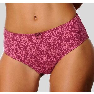 Slip NUANCE, Damen, Gr. 36/38, lila (pflaume, beere), Obermaterial: 95% Baumwolle, 5% Elasthan, Unterhosen Slip, hoch geschnittener Slip aus Baumwolle Slip NUANCE, Damen, Gr. 36/38, lila (pflaume, beere), Obermaterial: 95% Baumwolle, 5% Elasthan, Unterhosen Slip, hoch geschnittener Slip aus Baumwolle