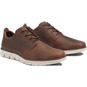 Sneaker TIMBERLAND "BRADSTREET LOW LACE UP SNEAKER", Herren, Gr. 40, braun (dunkelbraun), Leder, Schuhe Sneaker Sneaker TIMBERLAND "BRADSTREET LOW LACE UP SNEAKER", Herren, Gr. 40, braun (dunkelbraun), Leder, Schuhe Sneaker