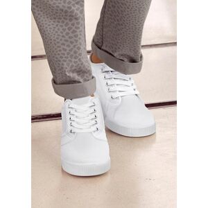 Sneaker LASCANA, Damen, Gr. 38, weiss (weiß), Obermaterial: 100% Textilmaterial. Decksohle: 100% Textilmaterial. Futter: 100% Textilmaterial. Laufsohle: 100% Synthetik, unifarben, Basic, Schuhe Sneaker, aus Textil, Schnürhalbschuh, Freizeitschuh, Turnschu Sneaker LASCANA, Damen, Gr. 38, weiss (weiß), Obermaterial: 100% Textilmaterial. Decksohle: 100% Textilmaterial. Futter: 100% Textilmaterial. Laufsohle: 100% Synthetik, unifarben, Basic, Schuhe Sneaker, aus Textil, Schnürhalbschuh, Freizeitschuh, Turnschu