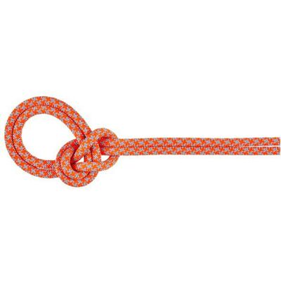 Mammut - 8.7 Crag Sender Dry Rope - Einfachseil Länge 80 m rosa Mammut - 8.7 Crag Sender Dry Rope - Einfachseil Länge 80 m rosa